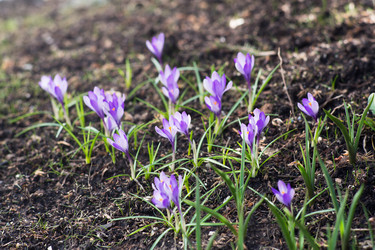 Similar image 21677732