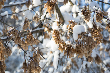 Similar image 21677734