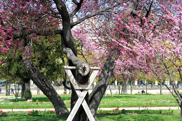 Similar image 21677740