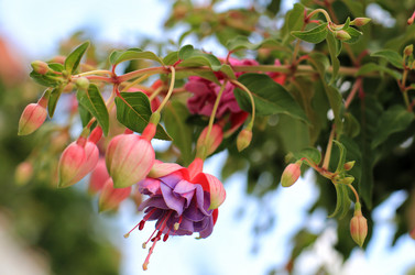 Similar image 21678284