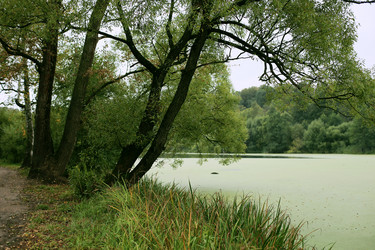 Similar image 21677964