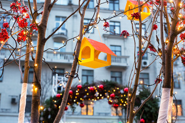 Similar image 21677966