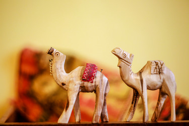 Similar image 21677982