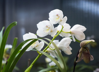 Similar image 21677984