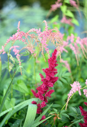 Similar image 21677985