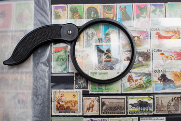 Similar image 21677988