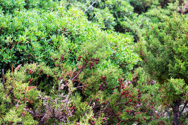 Similar image 21677989