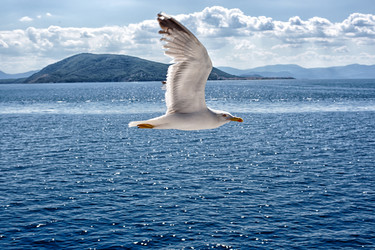 Similar image 21677586