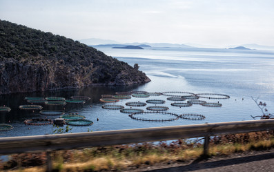 Similar image 21677587