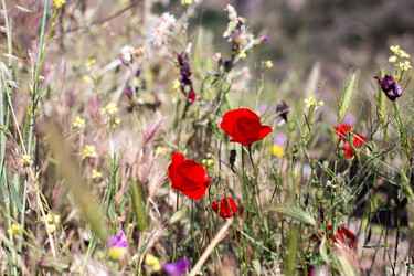 Similar image 21677589