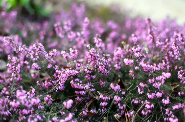 Similar image 21677590