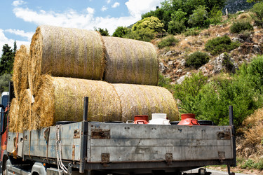 Similar image 21677591