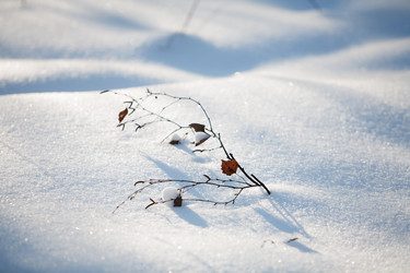 Similar image 21677595