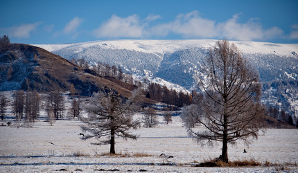 Similar image 21677597