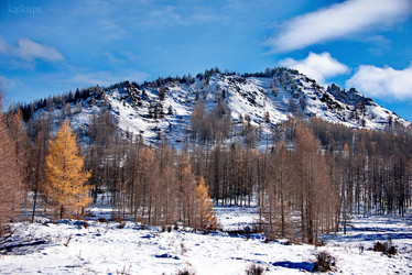 Similar image 21677599