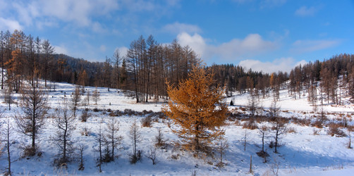 Similar image 21677602