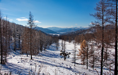 Similar image 21677603