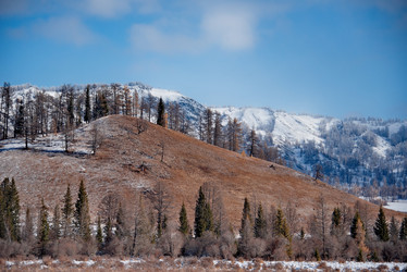 Similar image 21677604