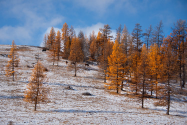 Similar image 21677605