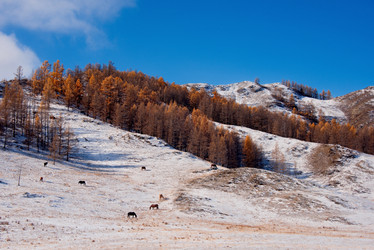 Similar image 21677606