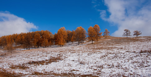 Similar image 21677609