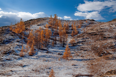 Similar image 21677613