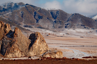 Similar image 21677614