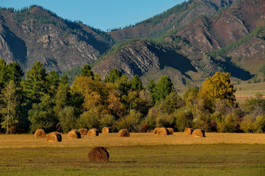 Similar image 21677617