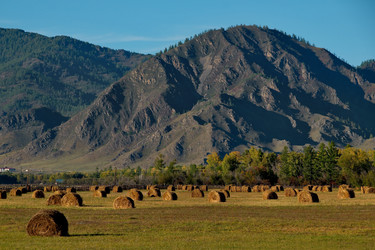 Similar image 21677618