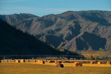 Similar image 21677619