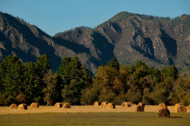 Similar image 21677621