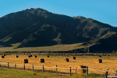 Similar image 21677622