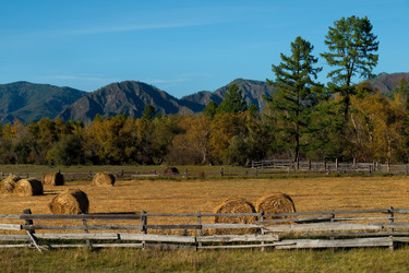 Similar image 21677623