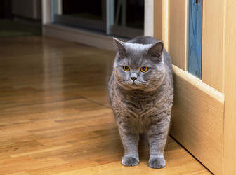 Similar image 21677628