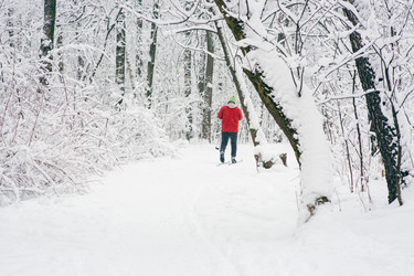 Similar image 21677631