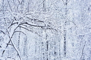 Similar image 21677632