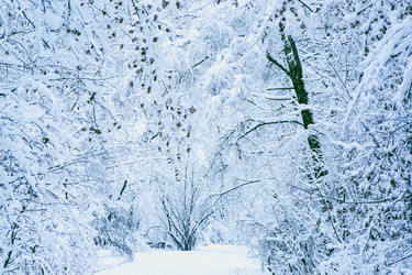 Similar image 21677633