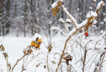 Similar image 21677636