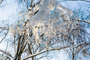 Similar image 21677647