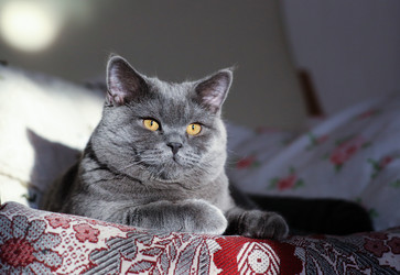 Similar image 21677654