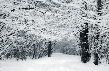 Similar image 21677656