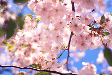 Similar image 21677658