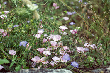 Similar image 21677659