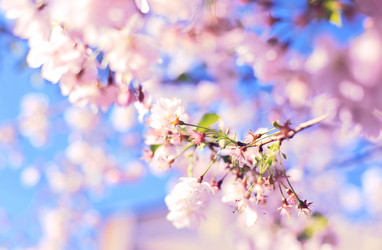 Similar image 21677664