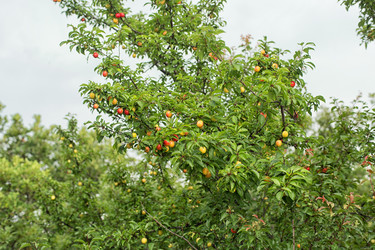 Similar image 21677665