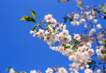 Similar image 21677666