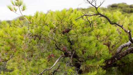 Similar image 21677667