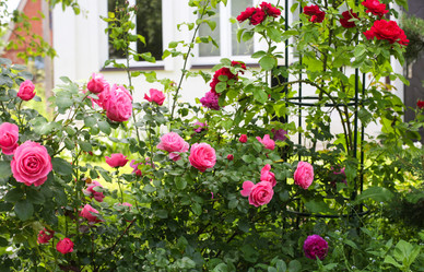 Similar image 21677668