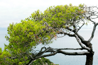 Similar image 21677669