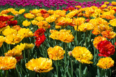 Similar image 21677674